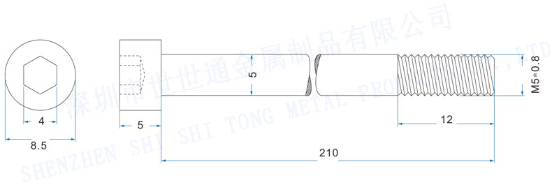 非標(biāo)細(xì)長(zhǎng)螺絲定制